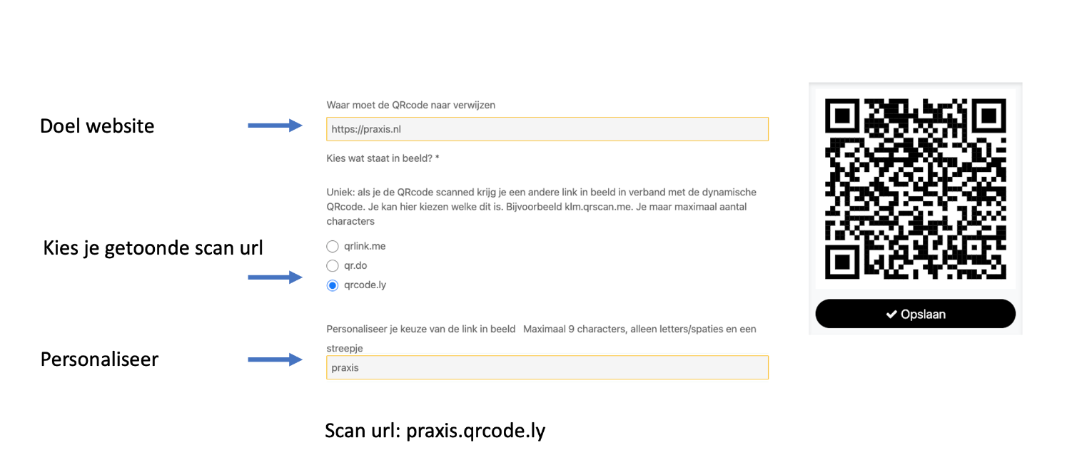 Scan URL kiezen in de QR-generator: doelwebsite invullen, scan domein selecteren en personaliseren